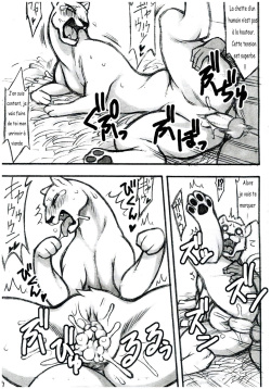 (Kansai! Kemoket) [Mayoineko (Nakagami Takashi)] Jaku Niku Goukan (TOKYO JUNGLE) [French and Unc] page 8