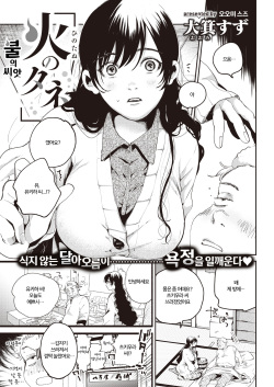 [Oomi Suzu] Hi no Tane | 불의 씨앗 (COMIC Kairakuten 2021-04) [Korean] [Digital] page 1