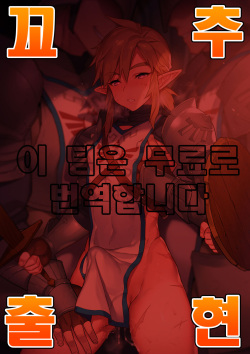 [Morittokoke (Morikoke)] Kunren-hei no junan | 훈련병의 수난 (The Legend of Zelda) [Korean] [팀 아청법X혼파망] [Digital] page 1