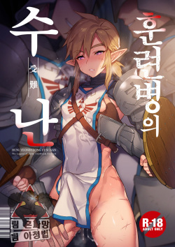 [Morittokoke (Morikoke)] Kunren-hei no junan | 훈련병의 수난 (The Legend of Zelda) [Korean] [팀 아청법X혼파망] [Digital] page 2