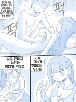 [nisino] 우리 누나 [Korean] [Uncensored] page 9