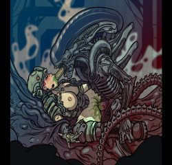 Noctambuss Artist Archive page 5