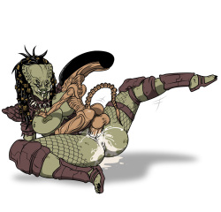 Noctambuss Artist Archive page 7