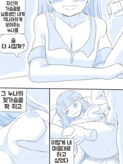 [nisino] 우리 누나 1부 [Korean] page 10