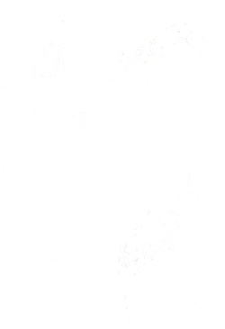 (C45) [STUDIO ST. WONDERLAND 203 (Fumizuki Kou)] NO BRAND page 2