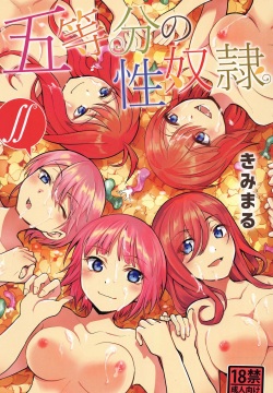 Gotoubun no Seidorei ∬