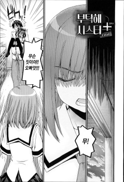[Saegusa Kohaku] Onegai Sister Plus Final | 부탁해 시스터 플러스 파이널 [Korean] [죽기싫다냥] page 1