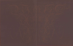Olivier Ledroit - Belles de Nuit page 4