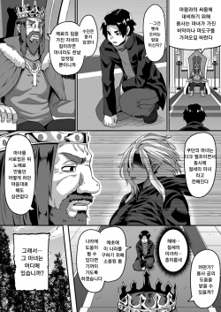 [Buppa Studio (Kazuhiro)] Isekai Tensei shite Yarichin Yuusha ni Natta Ore ga, Chimajo Elf ni Sakusei Saremakutta Hanashi [Korean] page 3