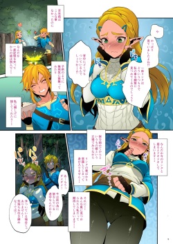 [Morittokoke (Morikoke)] Hyrule Hanei no Tame no Katsudou! | Taking Steps to Ensure Hyrule's Prosperity! (The Legend of Zelda) [Decensored] [Colorized] [Digital] page 6