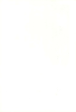(C32) [Studio Galapagos (Supuratta, Hoine Shou)] Usukuchi Shouyu page 2