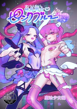 [Teriyaki Sasami Donburi (Teriyaki Sasami)] Seiran Senshi Pink Blue page 1