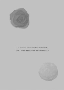 White Camellia &amp; Red Rose page 2