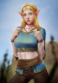 Reward 13 Zelda