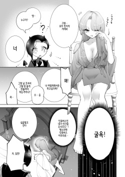 [Teriyaki Sasami Donburi (Teriyaki Sasami)] Yaritai Incubus to Nemutai Onnanoko | 하고싶은 인큐버스와 자고싶은 여자애 [Korean] page 8