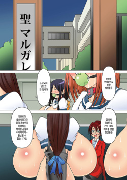 [Algolagnia (Mikoshiro Honnin)] St. Margareta Gakuen Koku Dai 1-wa [Korean] page 2
