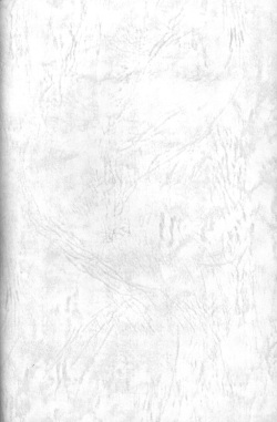 [Madobe no Tomo Shuppan (Mimuda Ryouzou)] PRIMALITA page 2