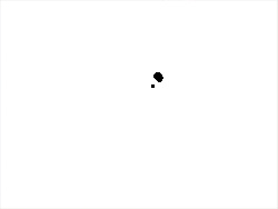 ARTIST CaschLeCook (Animated GIFs) page 2
